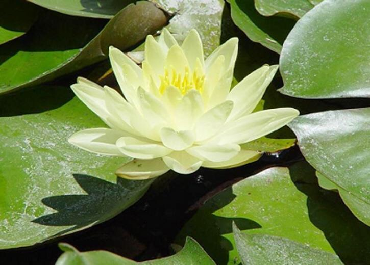 Dành cho người ở lại