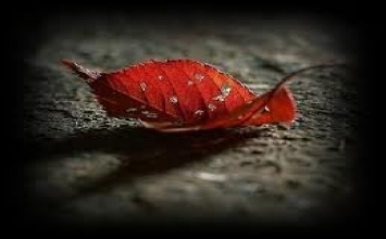 Vẫn là câu hỏi "Tôi là ai?"