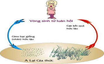 Nhân quả luân hồi