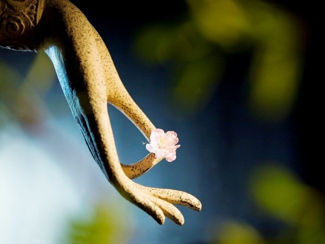 Trói buộc và giải thoát