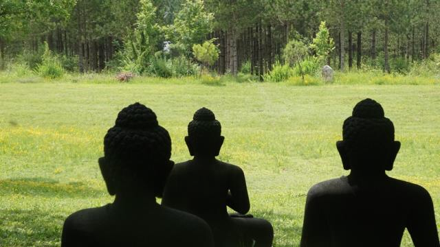 Sống trong hiện tại