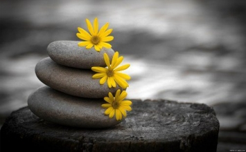 Học được rằng . . . 