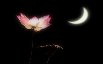 Đừng bỏ lỡ hiện tại