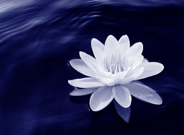 Không ai tắm 2 lần trên 1 dòng sông