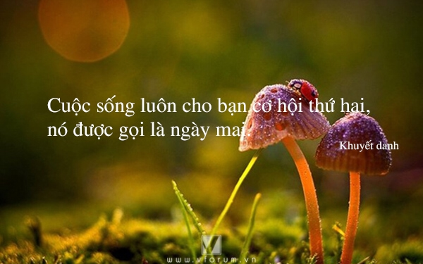 Sống như ngày mai chết