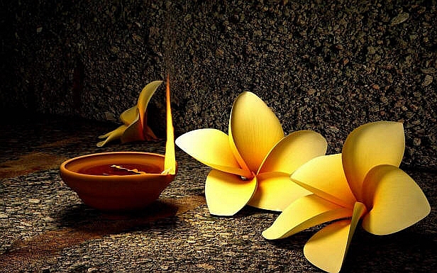 Hạt bụi trở về