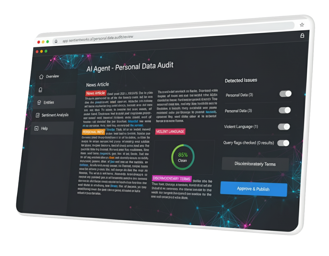 AI Personal Data Audit Project