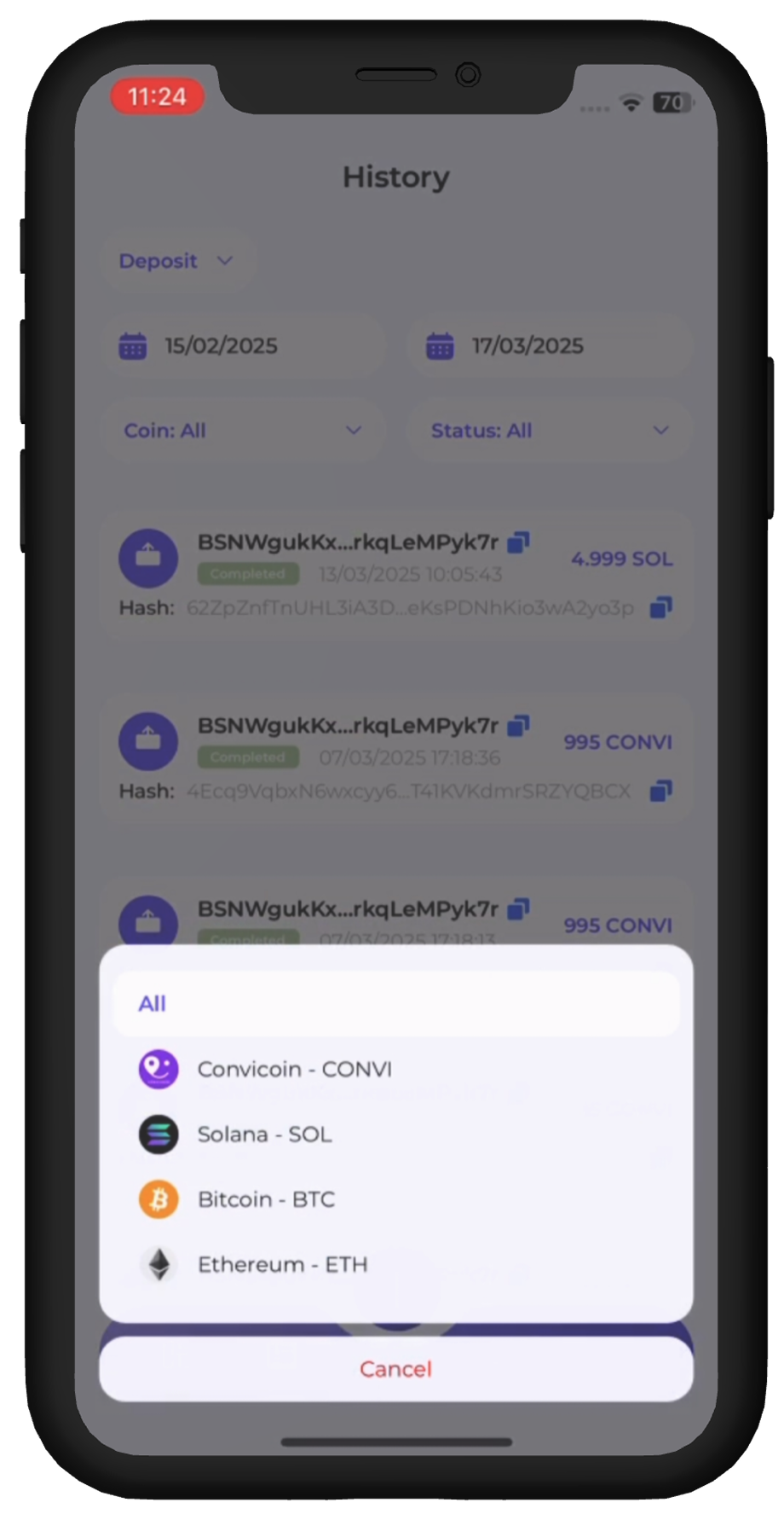 Digital Wallet Screen 9