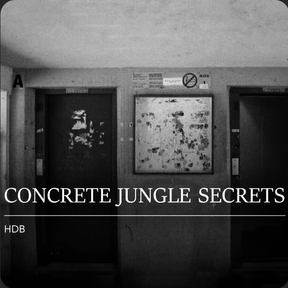Concrete Jungle Secrets: HDB Hauntings