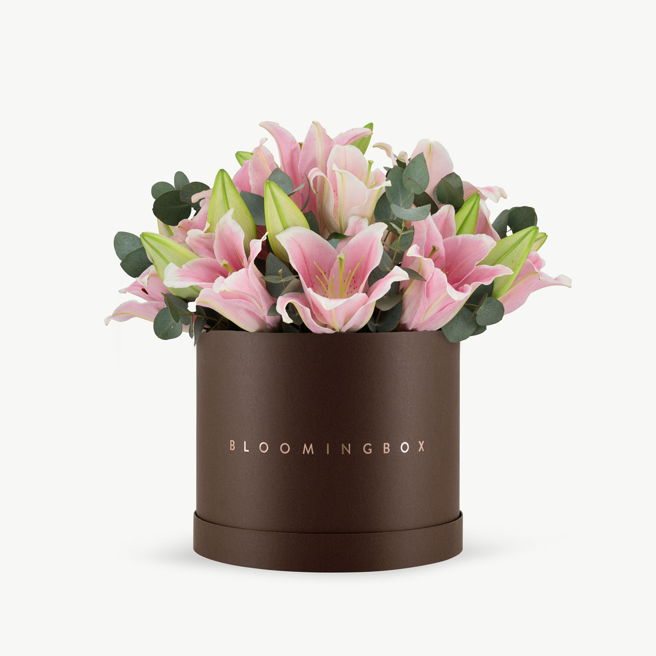 サミット　リリーボックス　LILY BOX サミット リリーボックス LILY BOX サミット リリーボックス LILY BOX