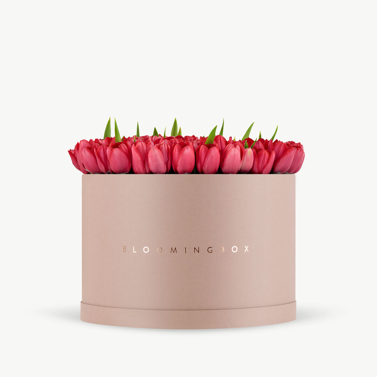 Tulip Box X-Large - Same Day Delivery
