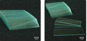 Laboratory Slides Essential Precision Tools for Reliable Research and Diagnostics