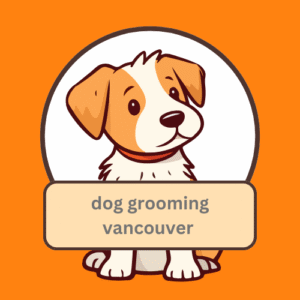 Full-Service Dog Grooming in Vancouver: The Best Care for Your Furry Friend