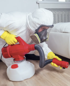 Why Regular Pest Control Darwin Northern Territory is a Smart Move