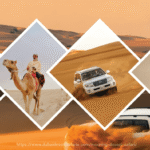7 Amazing Reasons to Try Morning Desert Safari Now