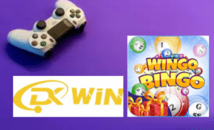 Beginner’s Guide to Setting Up the DKWIN Game App: Step-by-Step Process