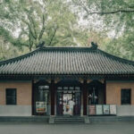 6 Powerful Tips to Master Roof Design with Pros and Cons Insights