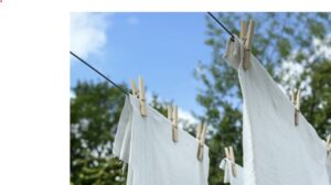 Laundry Delivery for Families: Simplifying Life One Load at a Time