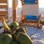 Beach Bummers LLC: Where Eco-Luxury Meets the Sea 3 Beach Bummers LLC: Where Eco-Luxury Meets the Sea