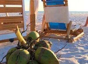 Beach Bummers LLC: Where Eco-Luxury Meets the Sea