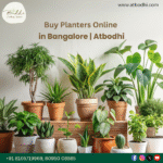 Decorative Planters for Landscaping Bangalore – Atbodhi
