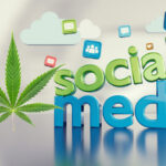 How Cannabis Social Media Helps Cannabis Brands Grow Fast