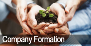 Company Formation Services by Mercurius & Associates LLP 1 Company Formation Services by Mercurius & Associates LLP
