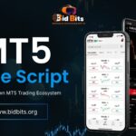 MT5 Clone Script: A Comprehensive Guide to Launching Your Own Trading Platform
