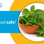 Stevia uses and health benefits for diabetes