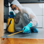 Bugs, Rats & More – Perth’s Pest Extermination Pros Have You Covered!
