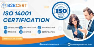 Real-World Success Stories: Organizations That Transformed Their Environmental Impact Through ISO 14001