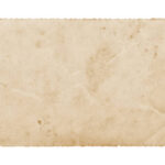 Behind the Spotlight The Enduring Influence of Shari Stowe in Hollywood’s Evolving Landscape