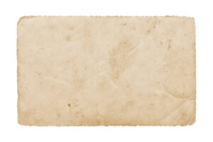 Behind the Spotlight The Enduring Influence of Shari Stowe in Hollywood’s Evolving Landscape