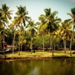 Experience Romance with 9 Days Kerala Luxury Honeymoon Tour