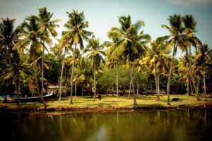 Experience Romance with 9 Days Kerala Luxury Honeymoon Tour 1 Experience Romance with 9 Days Kerala Luxury Honeymoon Tour