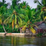 Experience Serenity with the Best Kerala Backwater Tour