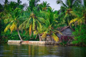 Experience Serenity with the Best Kerala Backwater Tour