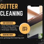 DIY vs Professional Gutter Cleaning in Pearcedale – Which Is Right for You?