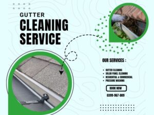 How Gutter Cleaning in Elsternwick Helps Prevent Costly Home Repairs