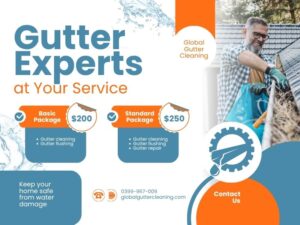 Protect Your Home with Professional Gutter Cleaning in Olinda