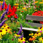 How to Choose Flowers for a Summer Garden That Lasts All Season?