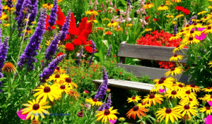 How to Choose Flowers for a Summer Garden That Lasts All Season?