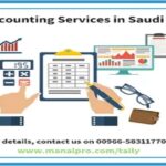 Best Accounting Software in Saudi Arabia | Bnody