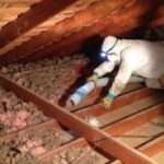 Complete Rodent Control Los Angeles Resource – Experts, Methods & Prevention