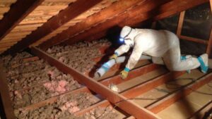 Complete Rodent Control Los Angeles Resource – Experts, Methods & Prevention