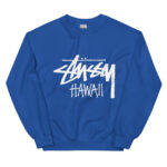 Stussy Hoodie A Winter Essential for Style and Comfort