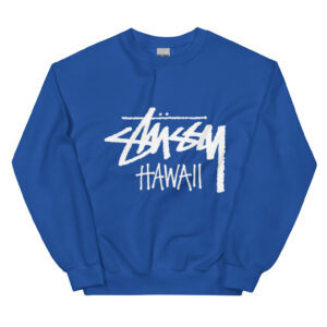 Stussy Hoodie A Winter Essential for Style and Comfort