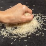 India Rice Exporters: Connecting Farmers to the World