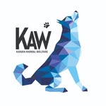 Finding the Best Animal Shelter Near Me: A Guide for Pet Lovers