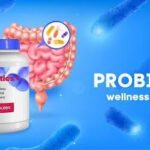 Probiotic Gummies Manufacturers – Delivering Gut-Friendly Nutrition with Vakya Prob